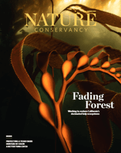 Full Issue: Summer 2023 - Nature Conservancy magazine
