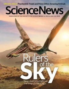 Special Issue: Amazing Animals